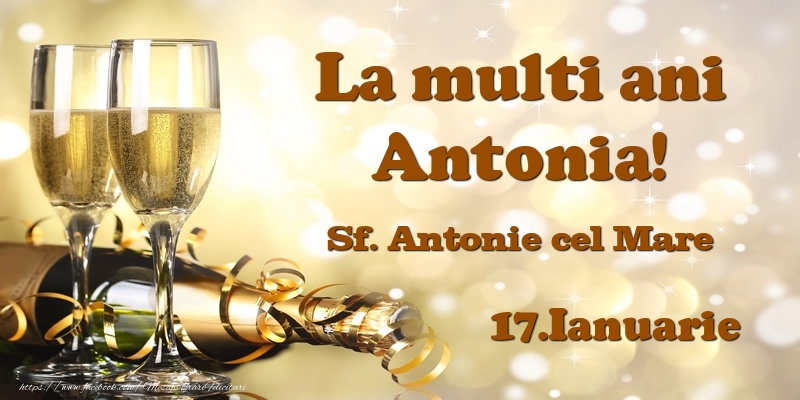 Felicitari de Ziua Numelui - Sampanie | 17.Ianuarie Sf. Antonie cel Mare La multi ani, Antonia!