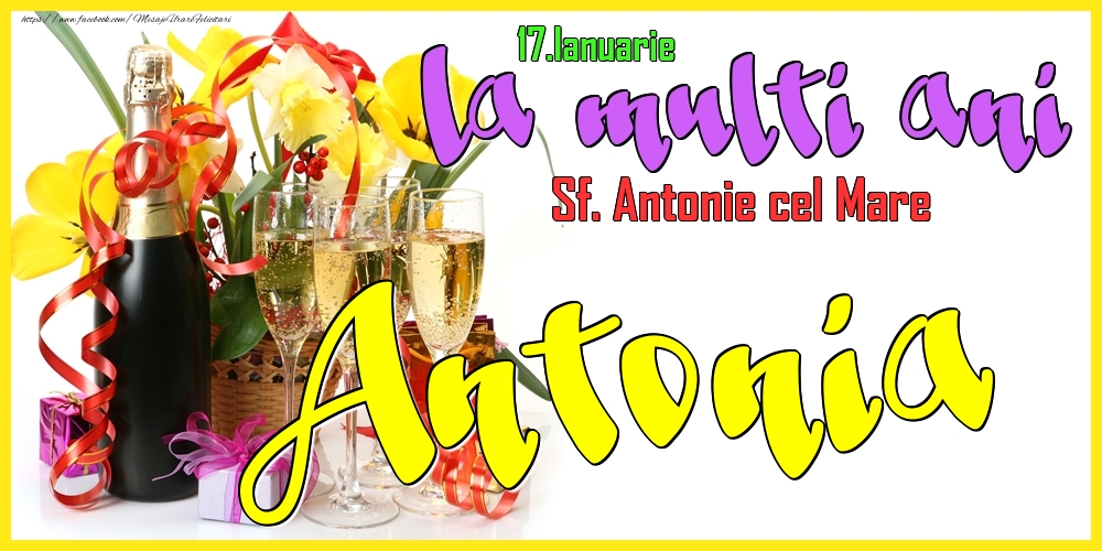 Felicitari de Ziua Numelui - Flori & Sampanie | 17.Ianuarie - La mulți ani Antonia! - Sf. Antonie cel Mare
