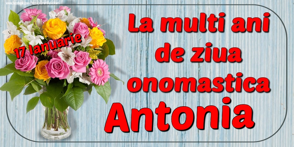 Felicitari de Ziua Numelui - Flori | 17 Ianuarie - La mulți ani de ziua onomastică Antonia