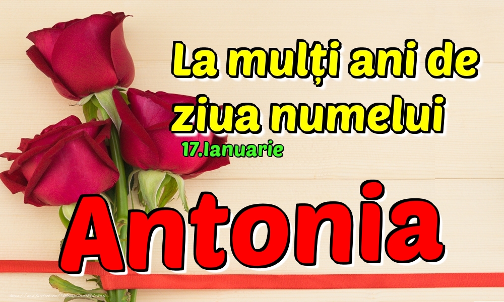 Felicitari de Ziua Numelui - 17.Ianuarie - La mulți ani de ziua numelui Antonia!