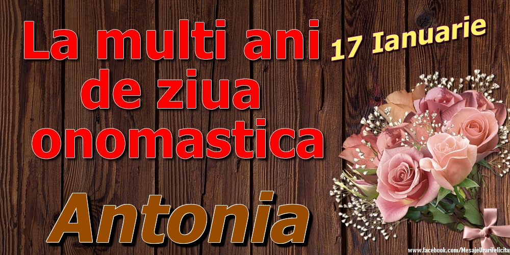 Felicitari de Ziua Numelui - Trandafiri | 17 Ianuarie - La mulți ani de ziua onomastică Antonia
