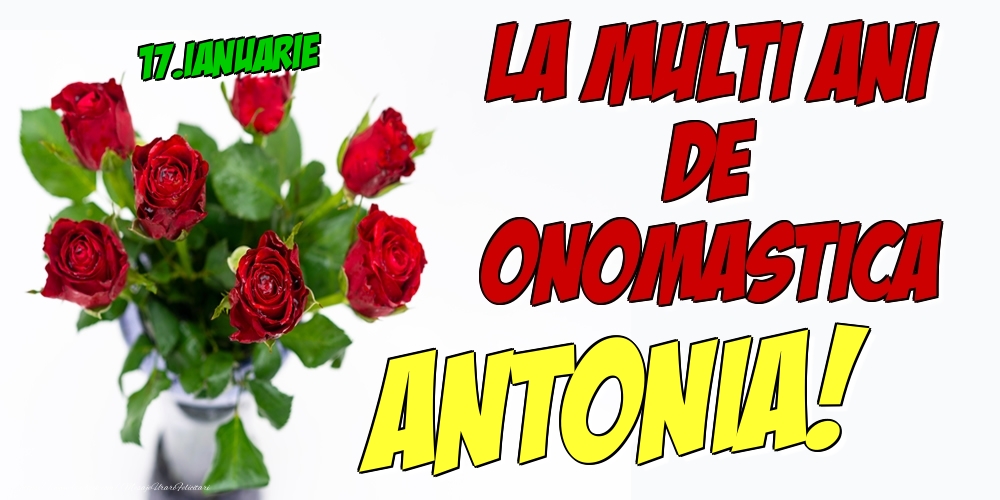 Felicitari de Ziua Numelui - Trandafiri | 17.Ianuarie - La multi ani de onomastica Antonia!