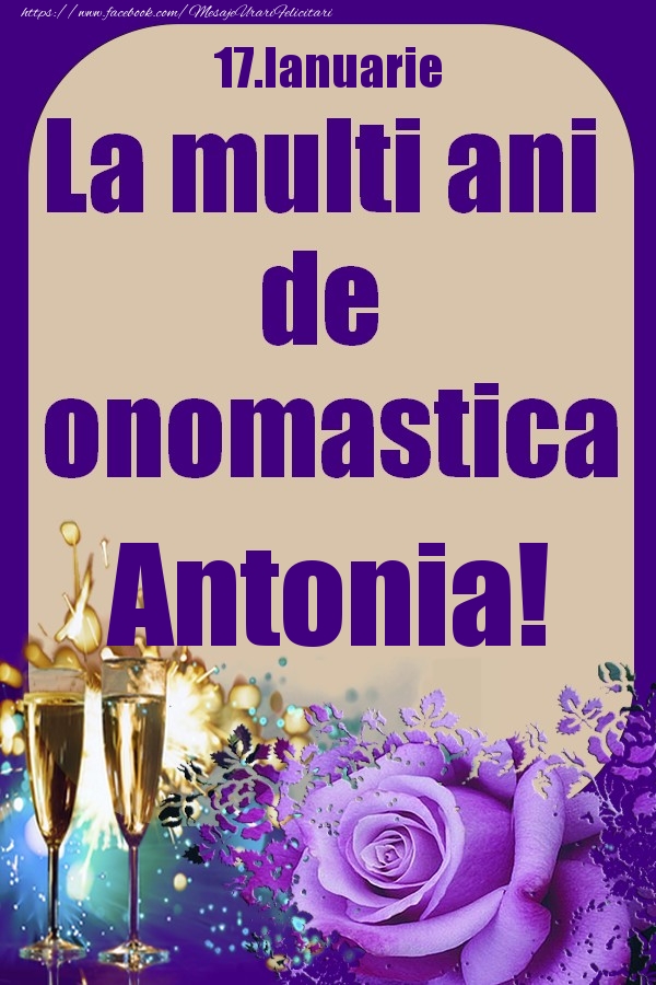 Felicitari de Ziua Numelui - Sampanie & Trandafiri | 17.Ianuarie - La multi ani de onomastica Antonia!