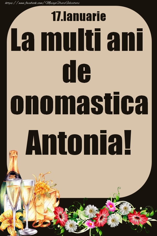 Felicitari de Ziua Numelui - 17.Ianuarie - La multi ani de onomastica Antonia!