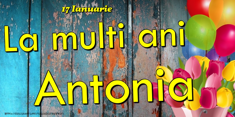 Felicitari de Ziua Numelui - Baloane & Lalele | 17 Ianuarie - La multi ani Antonia!