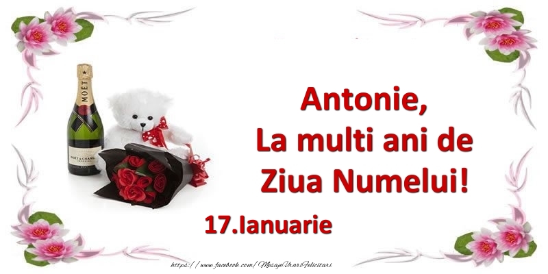 Felicitari de Ziua Numelui - Flori & Sampanie & Ursuleti | Antonie, la multi ani de ziua numelui! 17.Ianuarie