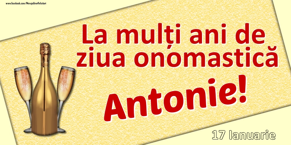 Felicitari de Ziua Numelui - La mulți ani de ziua onomastică Antonie! - 17 Ianuarie