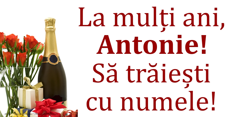 Felicitari de Ziua Numelui - Cadou & Flori & Sampanie | La mulți ani, Antonie! Să trăiești cu numele!