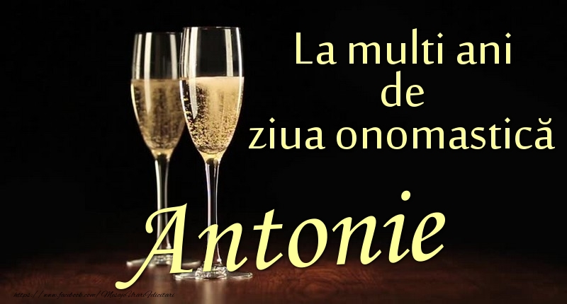 Felicitari de Ziua Numelui - La multi ani de ziua onomastică Antonie