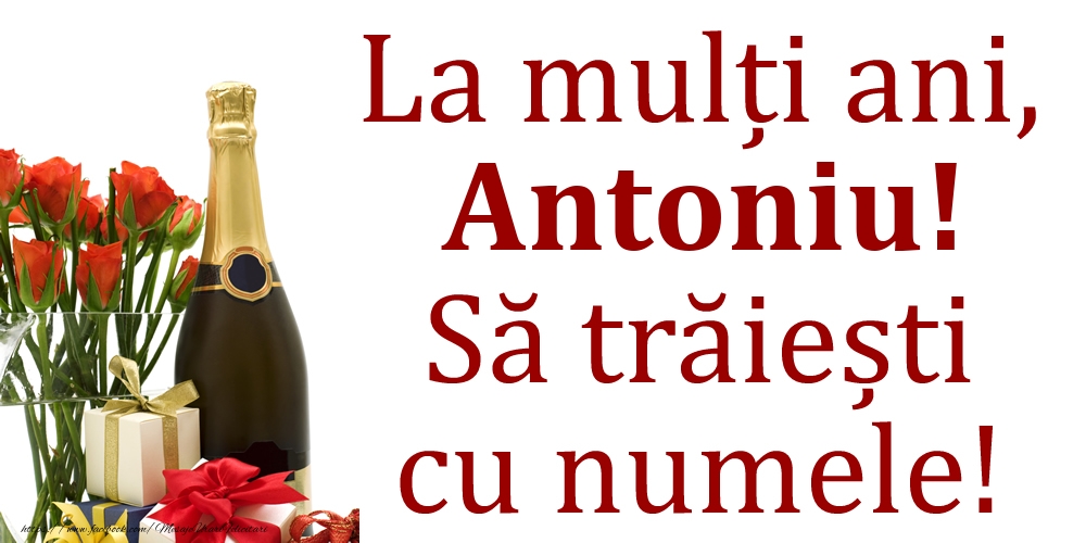 Felicitari de Ziua Numelui - Cadou & Flori & Sampanie | La mulți ani, Antoniu! Să trăiești cu numele!