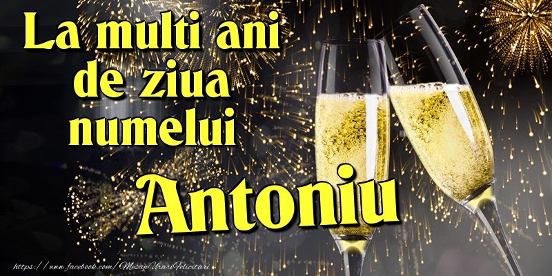 Felicitari de Ziua Numelui - Artificii & Sampanie | La multi ani de ziua numelui Antoniu