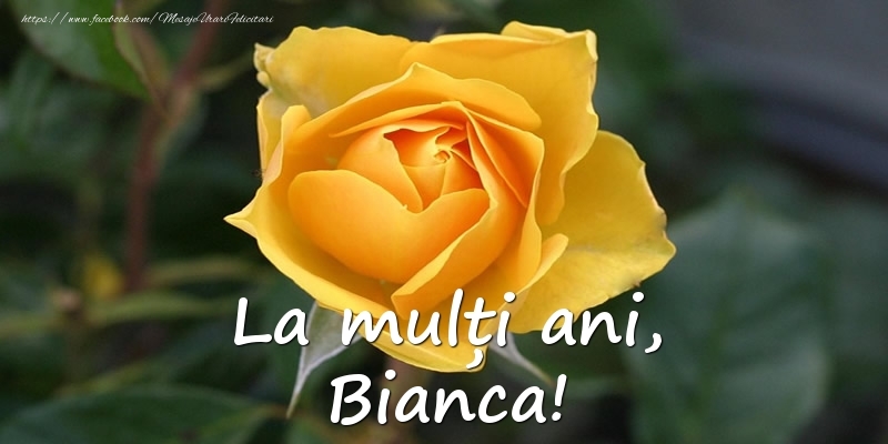 Felicitari de Ziua Numelui - Flori & Trandafiri | La mulți ani, Bianca!