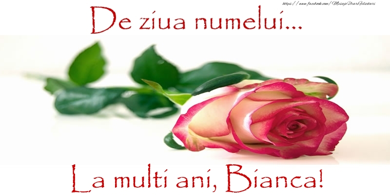 Felicitari de Ziua Numelui - Flori & Trandafiri | De ziua numelui... La multi ani, Bianca!