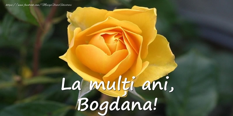 Felicitari de Ziua Numelui - Flori & Trandafiri | La mulți ani, Bogdana!