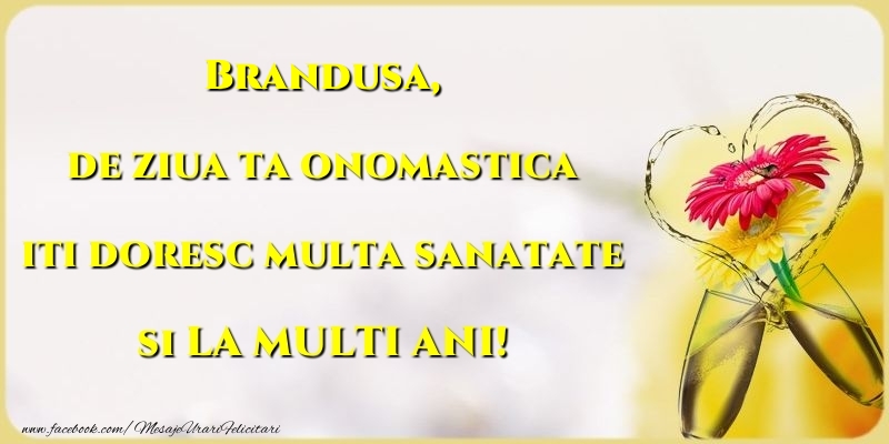 Felicitari de Ziua Numelui - Flori & Sampanie | de ziua ta onomastica iti doresc multa sanatate si LA MULTI ANI! Brandusa