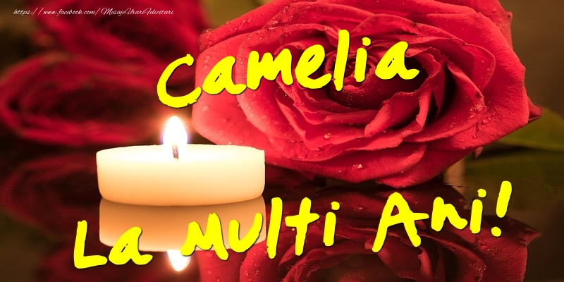 Felicitari de Ziua Numelui - Flori & Trandafiri | Camelia La Multi Ani!