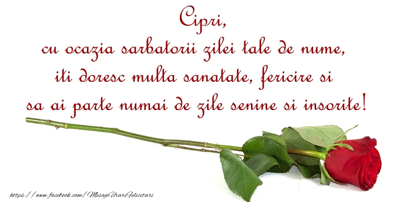 Felicitari de Ziua Numelui - Cipri, cu ocazia sarbatorii zilei tale de nume, iti doresc multa sanatate, fericire si sa ai parte numai de zile senine si insorite!