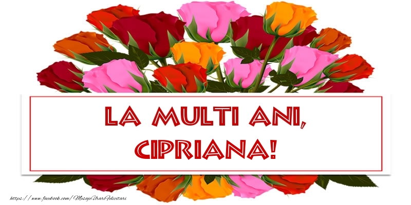 Felicitari de Ziua Numelui - Trandafiri | La multi ani, Cipriana!
