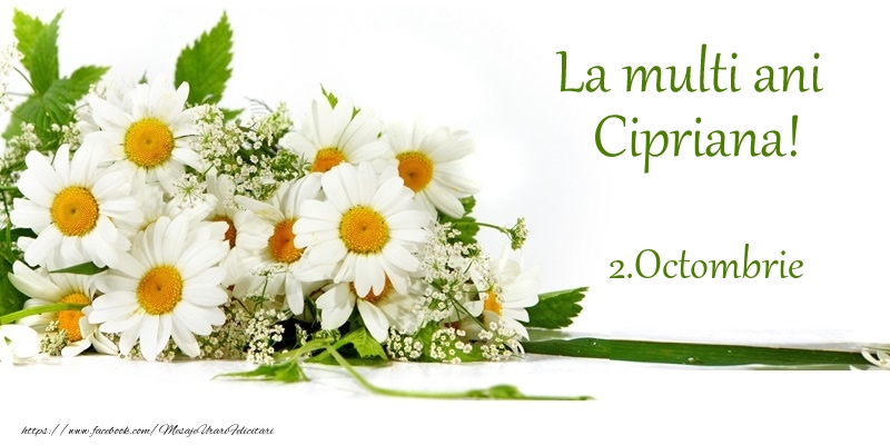 Felicitari de Ziua Numelui - Flori | La multi ani, Cipriana! 2.Octombrie -