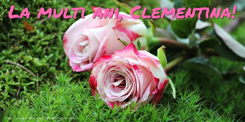 Felicitari de Ziua Numelui - Flori & Trandafiri | La multi ani, Clementina!