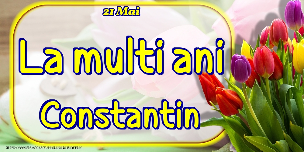 Felicitari de Ziua Numelui - Lalele | 21 Mai -La  mulți ani Constantin!