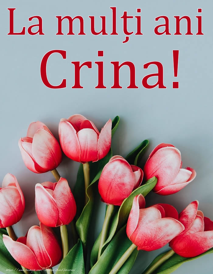 Felicitari de Ziua Numelui - Flori | La mulți ani, Crina!