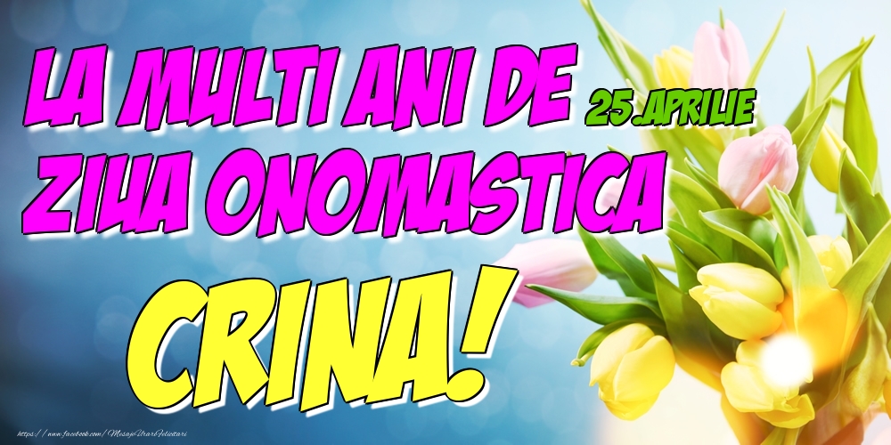  Felicitari de Ziua Numelui - Lalele | 25.Aprilie - La multi ani de ziua onomastica Crina!