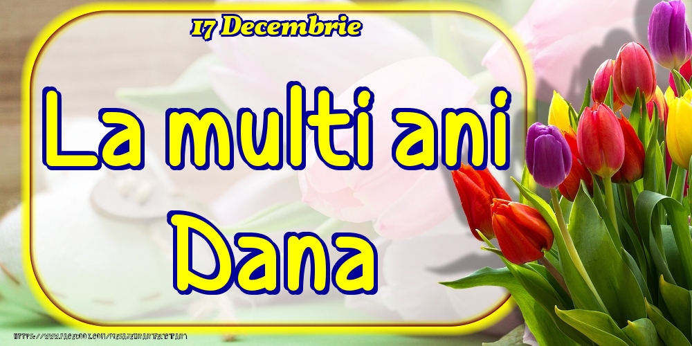 Felicitari de Ziua Numelui - 17 Decembrie -La  mulți ani Dana!