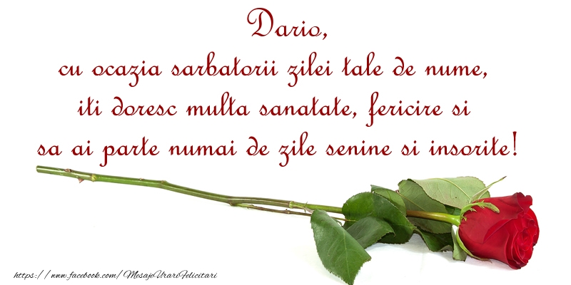 Felicitari de Ziua Numelui - Flori & Trandafiri | Dario, cu ocazia sarbatorii zilei tale de nume, iti doresc multa sanatate, fericire si sa ai parte numai de zile senine si insorite!