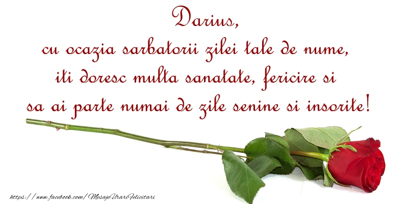 Felicitari de Ziua Numelui - Darius, cu ocazia sarbatorii zilei tale de nume, iti doresc multa sanatate, fericire si sa ai parte numai de zile senine si insorite!