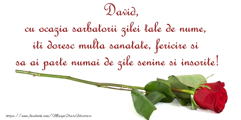 Felicitari de Ziua Numelui - David, cu ocazia sarbatorii zilei tale de nume, iti doresc multa sanatate, fericire si sa ai parte numai de zile senine si insorite!