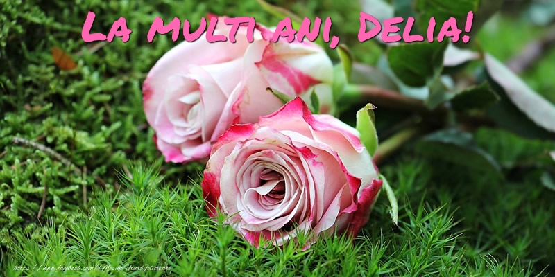 Felicitari de Ziua Numelui - Flori & Trandafiri | La multi ani, Delia!