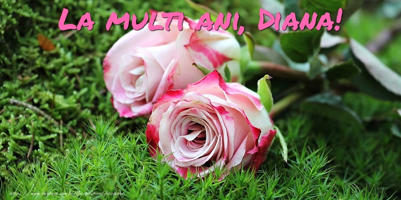 Felicitari de Ziua Numelui - Flori & Trandafiri | La multi ani, Diana!