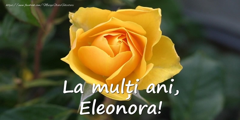 Felicitari de Ziua Numelui - Flori & Trandafiri | La mulți ani, Eleonora!