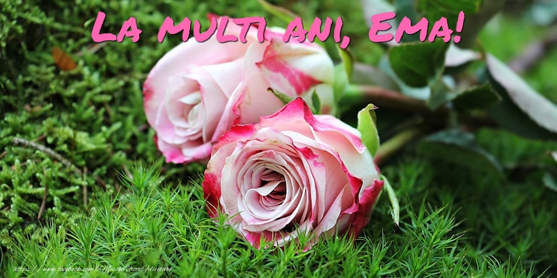 Felicitari de Ziua Numelui - Flori & Trandafiri | La multi ani, Ema!