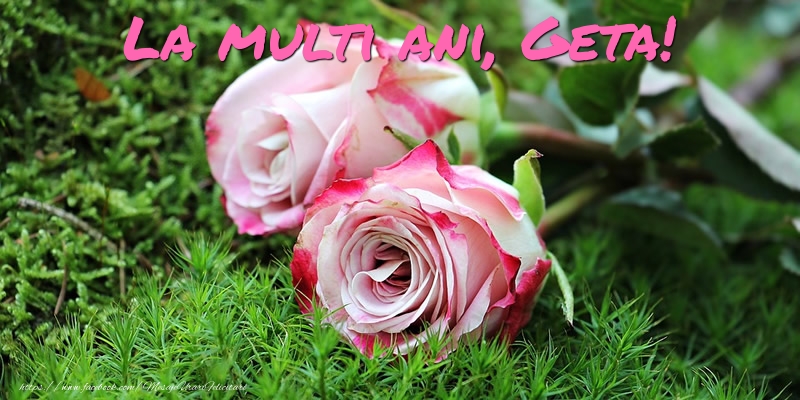 Felicitari de Ziua Numelui - Flori & Trandafiri | La multi ani, Geta!
