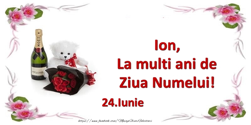  Felicitari de Ziua Numelui - Flori & Sampanie & Ursuleti | Ion, la multi ani de ziua numelui! 24.Iunie