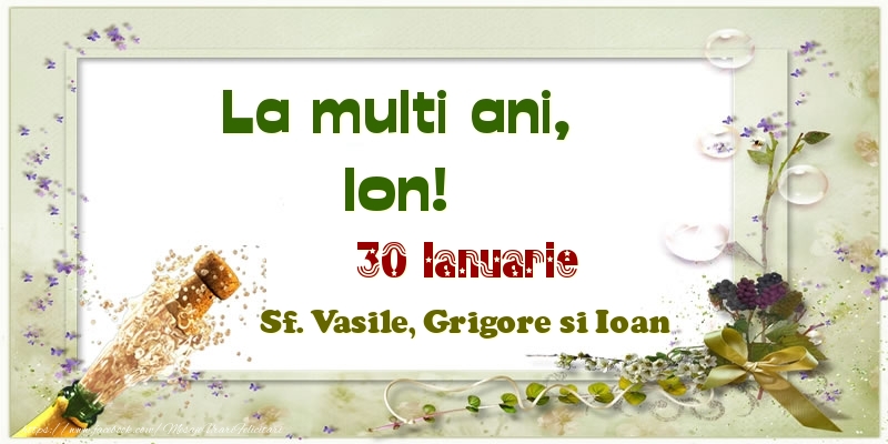 Felicitari de Ziua Numelui - Sampanie | La multi ani, Ion! 30 Ianuarie Sf. Vasile, Grigore si Ioan