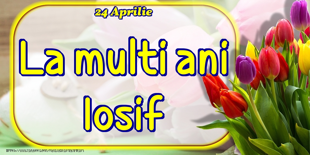 Felicitari de Ziua Numelui - Lalele | 24 Aprilie -La  mulți ani Iosif!