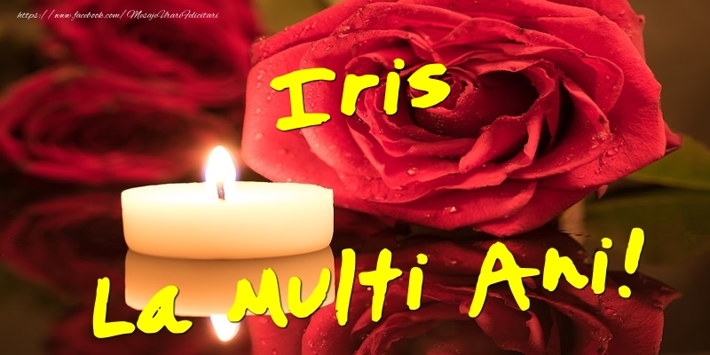 Felicitari de Ziua Numelui - Flori & Trandafiri | Iris La Multi Ani!
