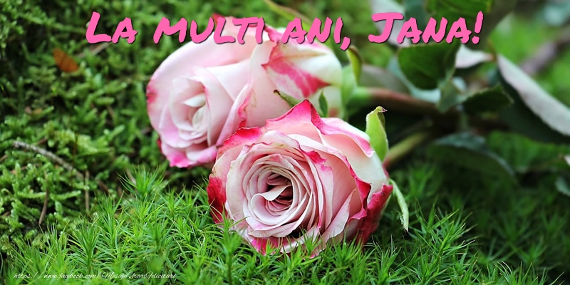 Felicitari de Ziua Numelui - Flori & Trandafiri | La multi ani, Jana!