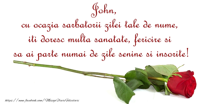 Felicitari de Ziua Numelui - Flori & Trandafiri | John, cu ocazia sarbatorii zilei tale de nume, iti doresc multa sanatate, fericire si sa ai parte numai de zile senine si insorite!