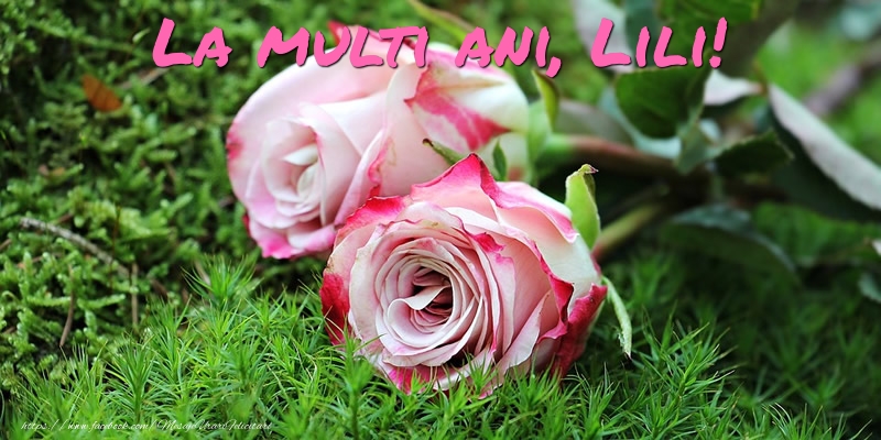 Felicitari de Ziua Numelui - Flori & Trandafiri | La multi ani, Lili!
