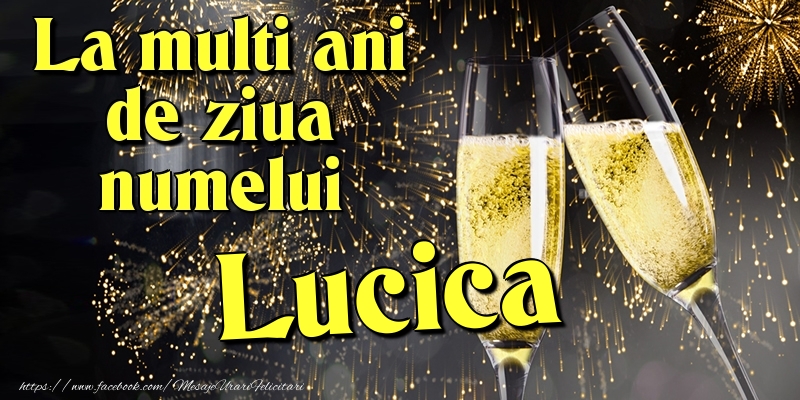 Felicitari de Ziua Numelui - Artificii & Sampanie | La multi ani de ziua numelui Lucica