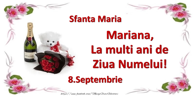 Felicitari de Ziua Numelui - Flori & Sampanie & Ursuleti | Mariana, la multi ani de ziua numelui! 8.Septembrie Sfanta Maria