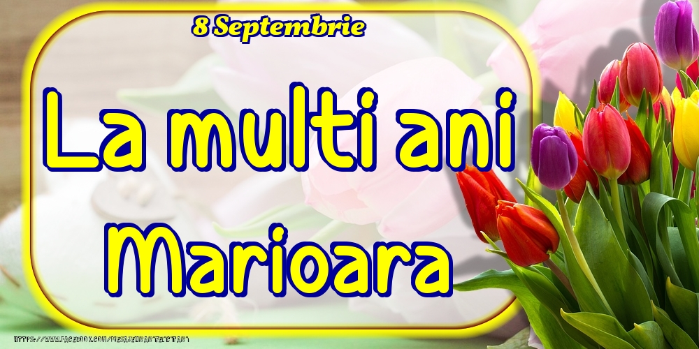 Felicitari de Ziua Numelui - Lalele | 8 Septembrie -La  mulți ani Marioara!