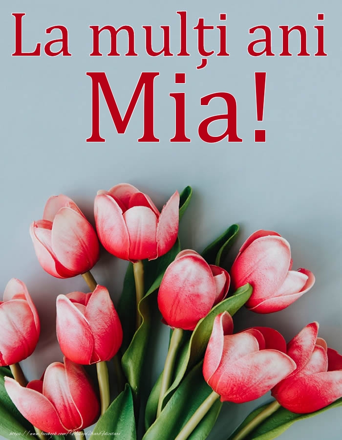 Felicitari de Ziua Numelui - Flori | La mulți ani, Mia!