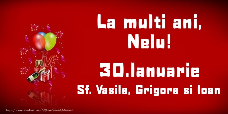 Felicitari de Ziua Numelui - Baloane & Sampanie | La multi ani, Nelu! Sf. Vasile, Grigore si Ioan - 30.Ianuarie
