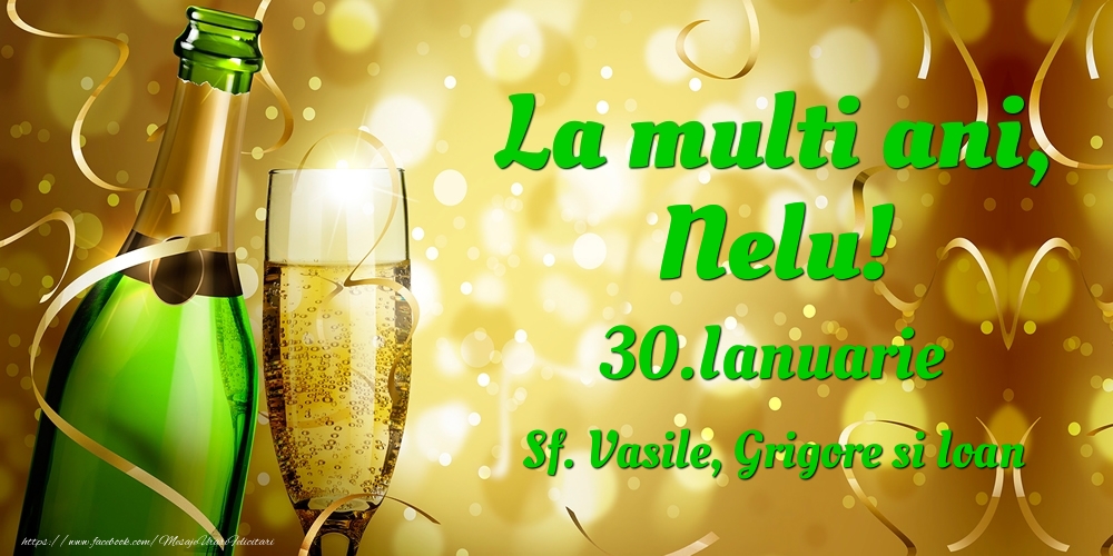 Felicitari de Ziua Numelui - Sampanie | La multi ani, Nelu! 30.Ianuarie - Sf. Vasile, Grigore si Ioan