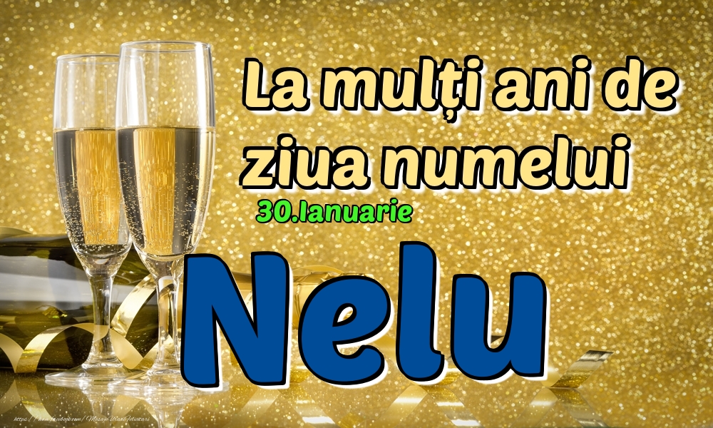 Felicitari de Ziua Numelui - 30.Ianuarie - La mulți ani de ziua numelui Nelu!